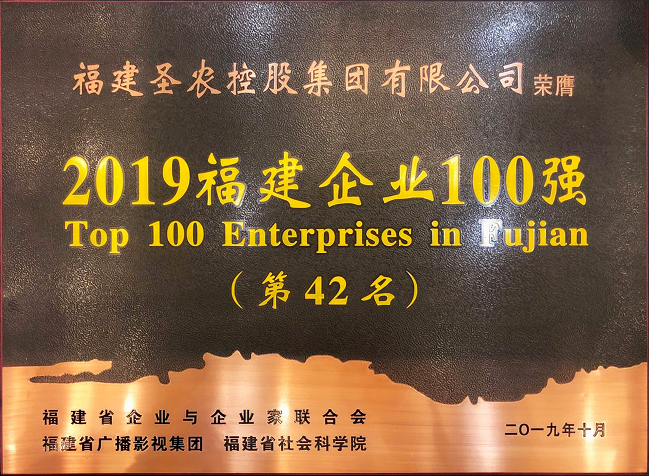 2019（尊时凯龙人生就是搏集团）福建企业100强